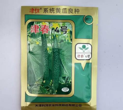 津春四号青瓜