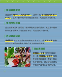 小众送妈妈的花有哪些花