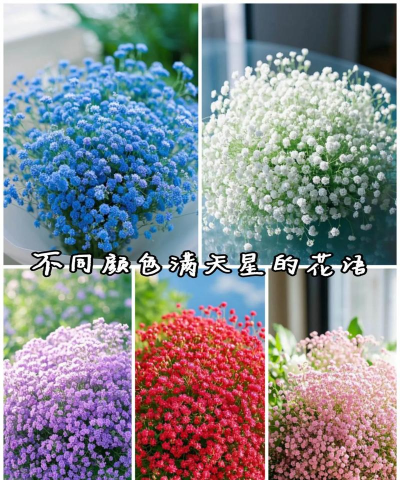 小众送妈妈的花有哪些花