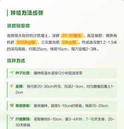 小众送妈妈的花有哪些花