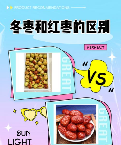 冬枣和红枣是同一种吗