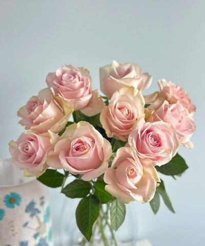 小众送妈妈的花有哪些花