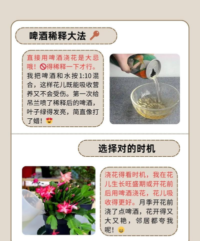 小众送妈妈的花有哪些花