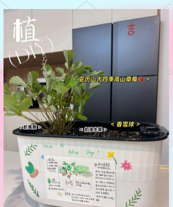 小众送妈妈的花有哪些花