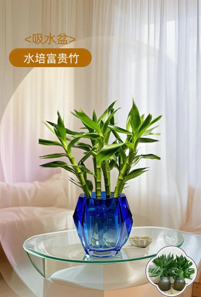 小众送妈妈的花有哪些花