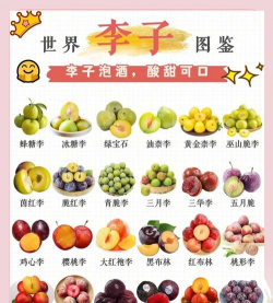 李子的营养价值,吃李子的好处和坏处