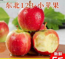 123小苹果是沙果吗,沙果和小苹果的区别