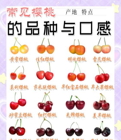 野樱桃和樱桃的区别