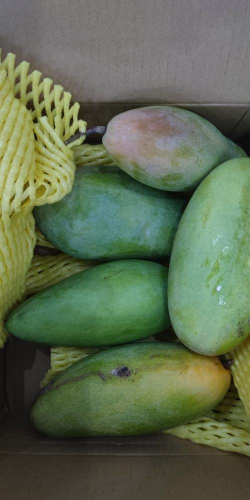 小众送妈妈的花有哪些花