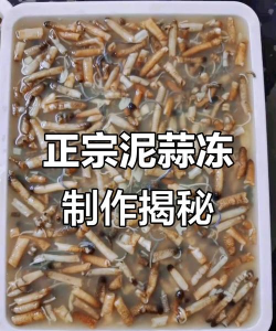 小众送妈妈的花有哪些花
