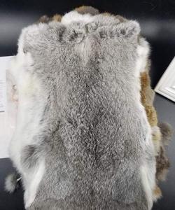 兔子皮价格多少钱