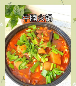 牛肉火锅的做法