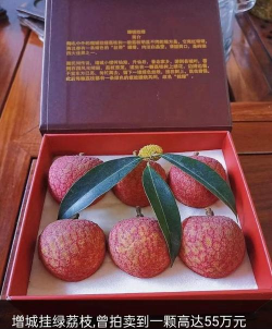 小众送妈妈的花有哪些花