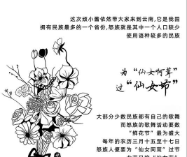 小众送妈妈的花有哪些花