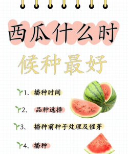 8424西瓜种植时间和方法
