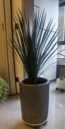 小众送妈妈的花有哪些花