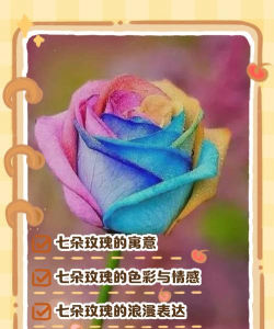小众送妈妈的花有哪些花