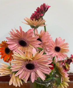 小众送妈妈的花有哪些花