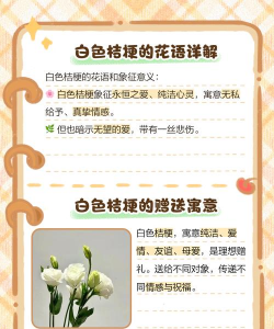 小众送妈妈的花有哪些花