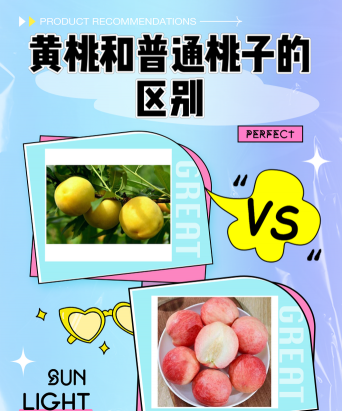 黄桃和普通桃子的区别