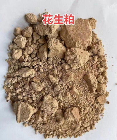 小众送妈妈的花有哪些花