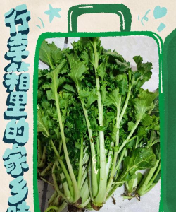 小众送妈妈的花有哪些花