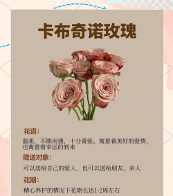 小众送妈妈的花有哪些花