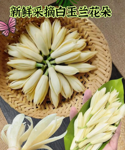 小众送妈妈的花有哪些花