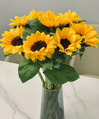 小众送妈妈的花有哪些花