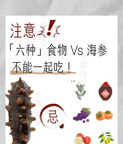 海参不能和什么一起吃