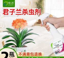 小众送妈妈的花有哪些花