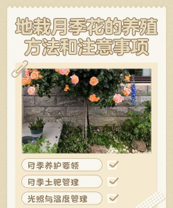 小众送妈妈的花有哪些花