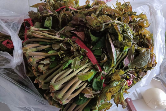 小众送妈妈的花有哪些花