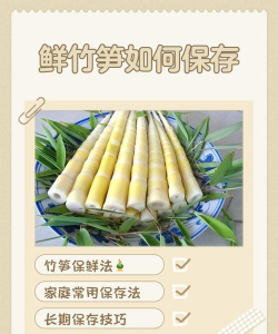 竹笋怎么保存
