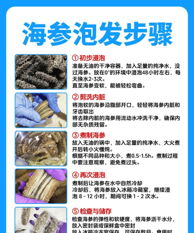 海参的泡发方法窍门