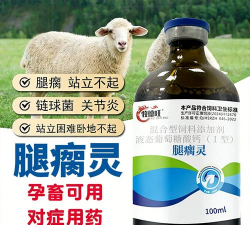 猪腿跛怎么用药 猪腿跛怎么用药