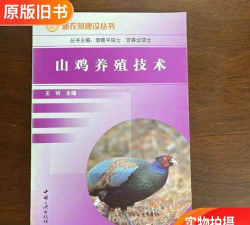 山鸡的养殖技术
