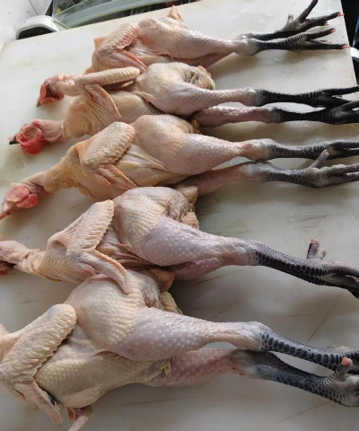 小众送妈妈的花有哪些花