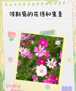 小众送妈妈的花有哪些花