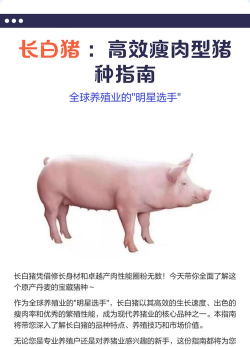 长白猪的品种介绍
