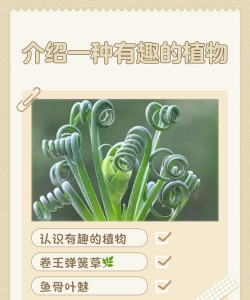 有趣的植物资料