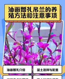 小众送妈妈的花有哪些花