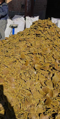 小众送妈妈的花有哪些花