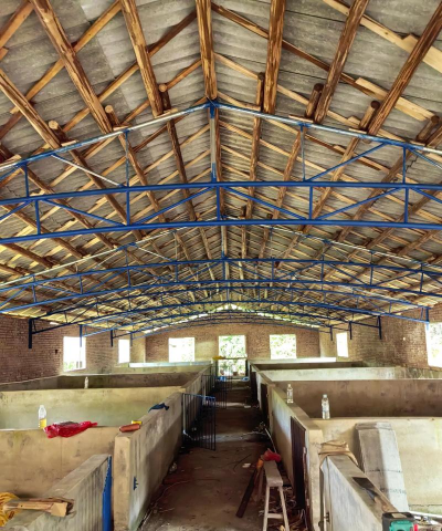 小众送妈妈的花有哪些花