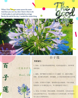 小众送妈妈的花有哪些花