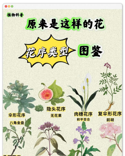 小众送妈妈的花有哪些花