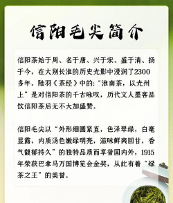 信阳毛尖介绍