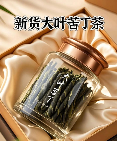 苦丁茶是什么茶