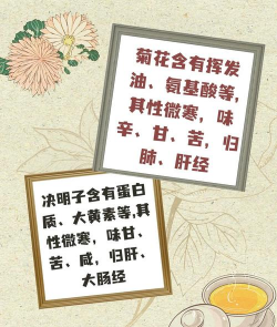 决明子菊花茶的功效与作用及禁忌