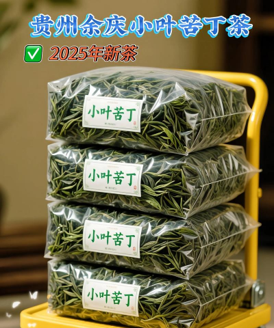 小叶苦丁茶是什么茶